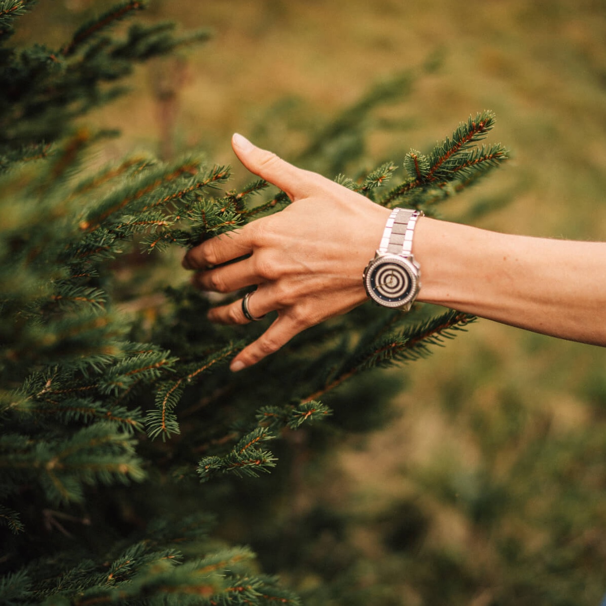 Homöopathie Behandlung Schwyz – klassische Methoden